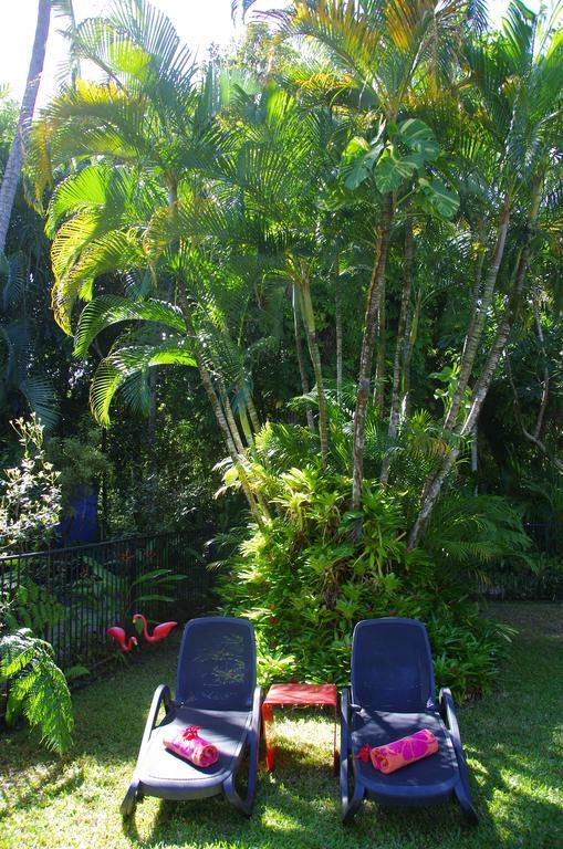 Pink Flamingo Resort Port Douglas Kültér fotó