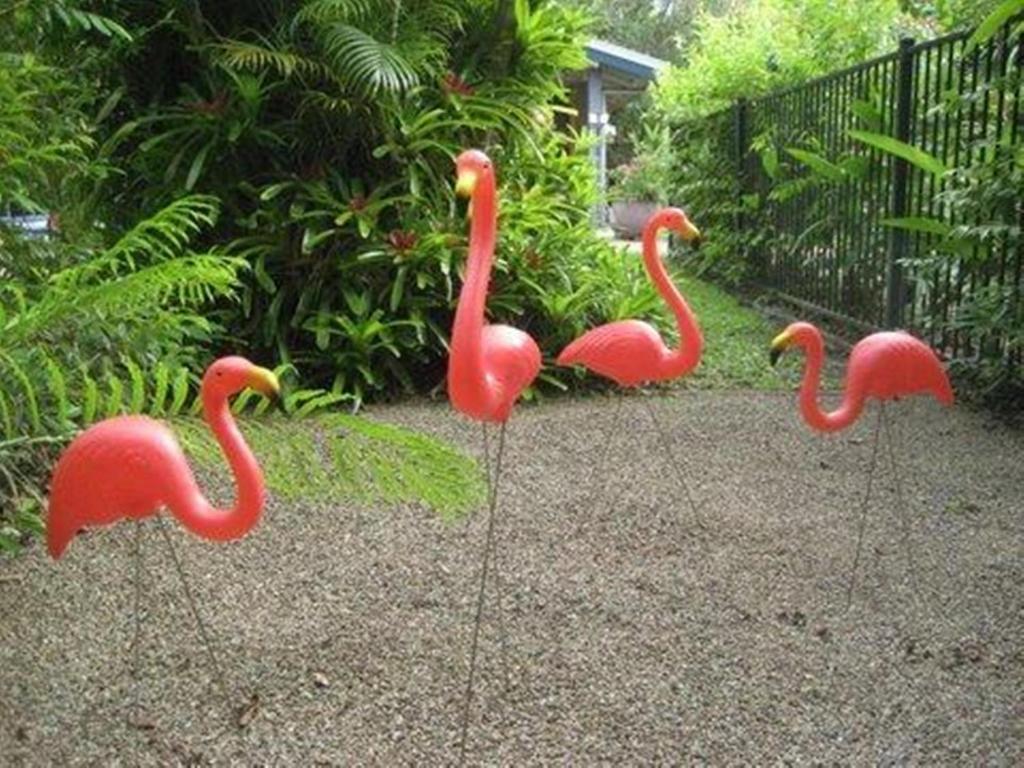 Pink Flamingo Resort Port Douglas Kültér fotó
