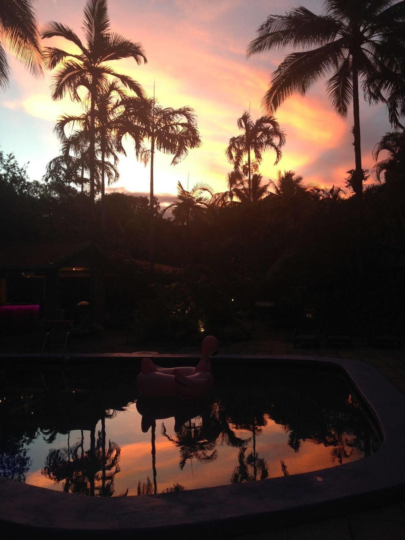 Pink Flamingo Resort Port Douglas Kültér fotó